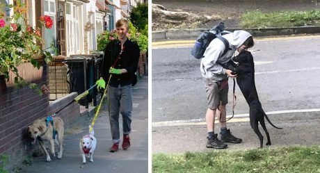 Paseador de perros llega a casa de su novia con la sorpresa más dulce todos los días