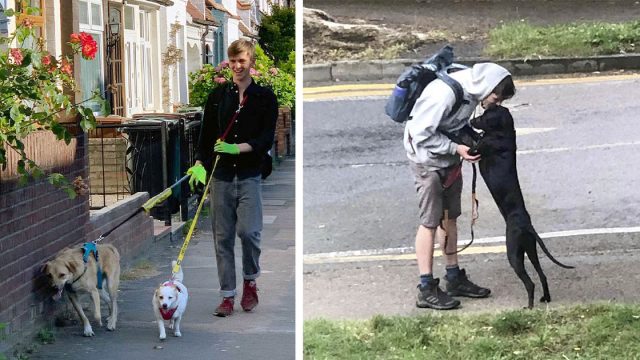 Paseador de perros llega a casa de su novia con la sorpresa más dulce