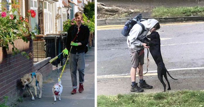 Paseador de perros llega a casa de su novia con la sorpresa más dulce