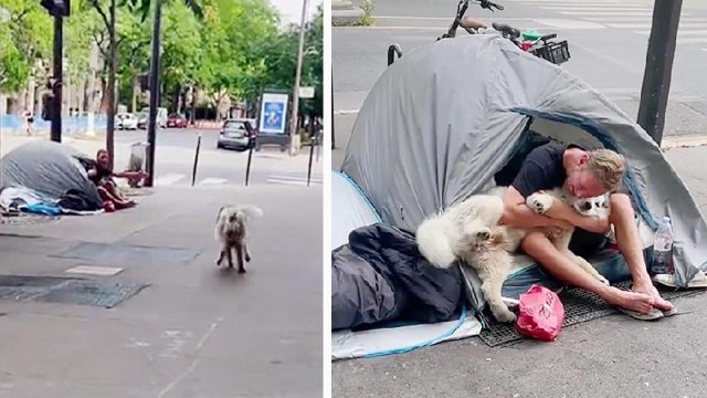 Perro se encuentra con un hombre sin hogar y decide convertirse en su amigo