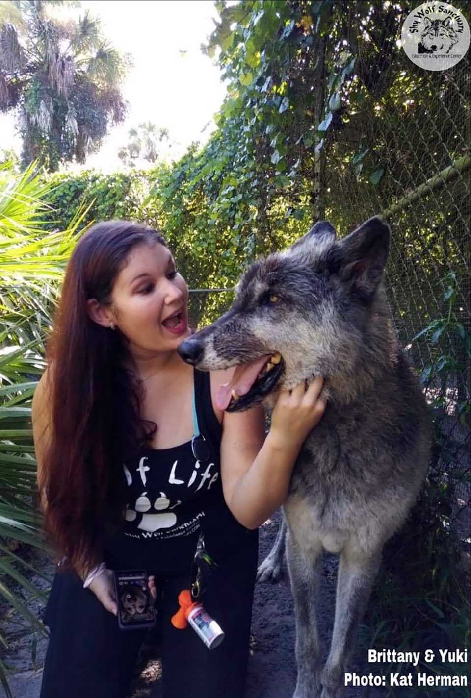 Adorable perro lobo y su amiga