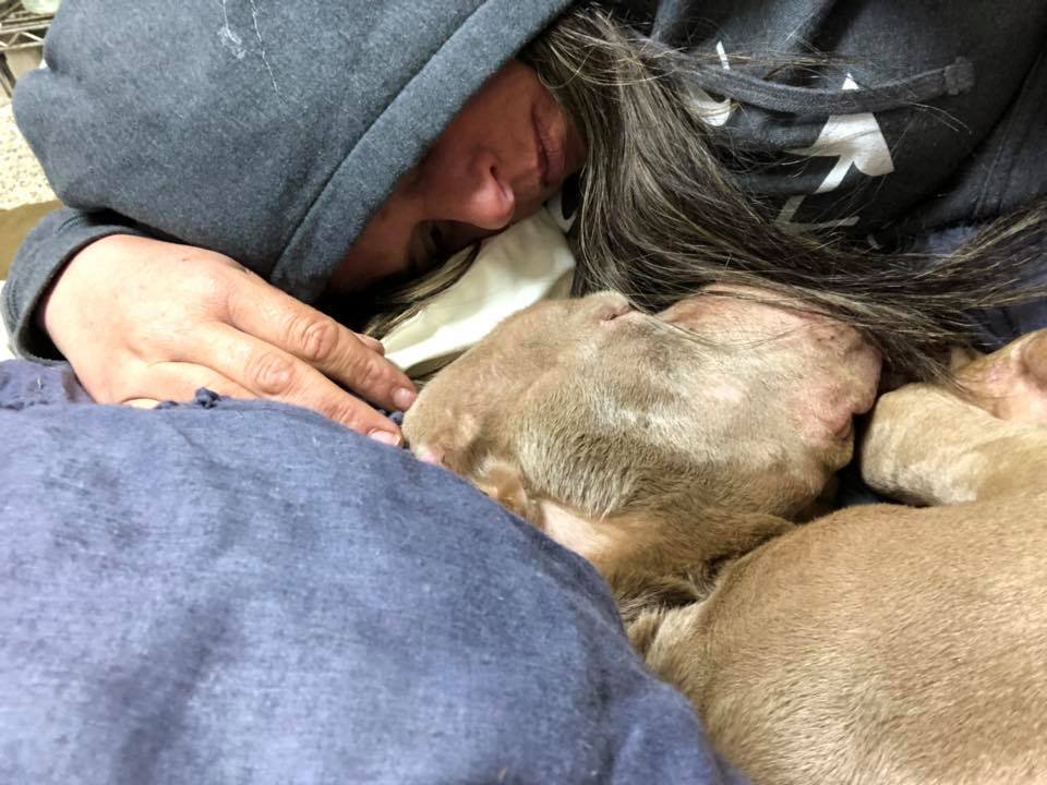 Mujer duerme junto a perro moribundo