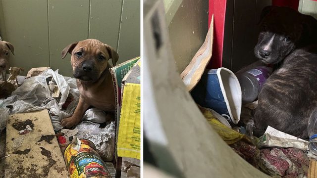 Pequeña familia pasa días dentro de una casa abandonada esperando ayuda