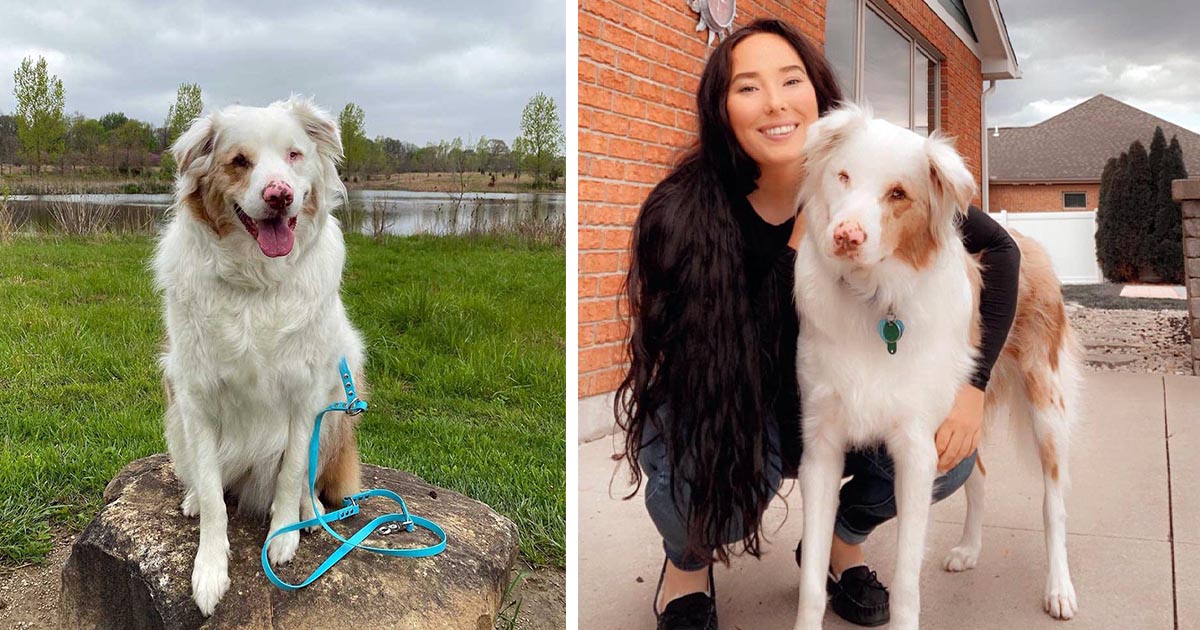 Perro rescatado ciego y sordo olfatea a mamá todos los días