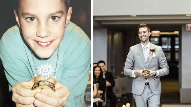Pequeña tortuga de 24 años es la 'niña de las flores' en la boda de su papá