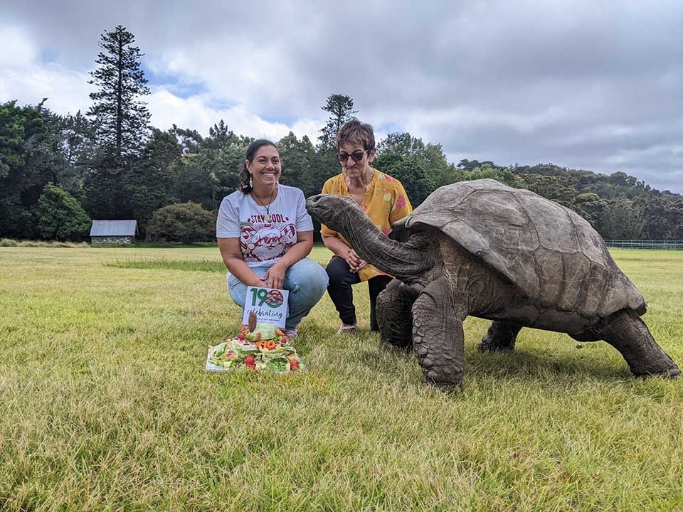 Tortuga gigante celebra su 190 cumpleaños