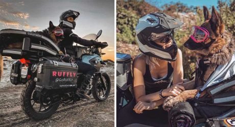 Pastor alemán le encanta pasear en moto y ahora viaja con su madre por el mundo