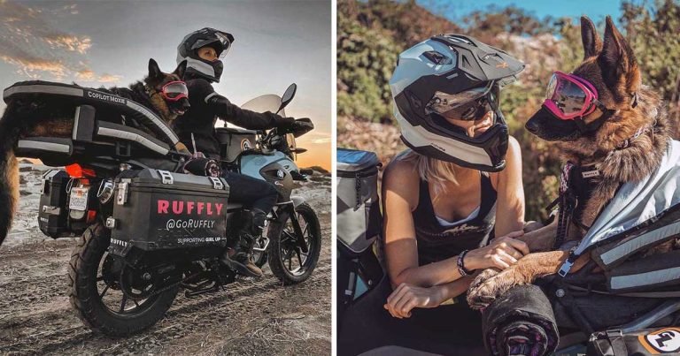 Pastor alemán le encanta pasear en moto y ahora viaja con papá por el mundo