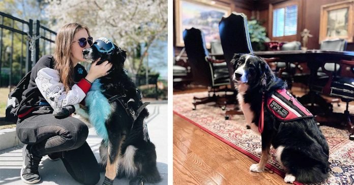 Perro de servicio hace todo lo que puede para tranquilizar a mamá