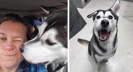 Familia conduce más de 2,000 millas para adoptar a un perro con la sonrisa torcida