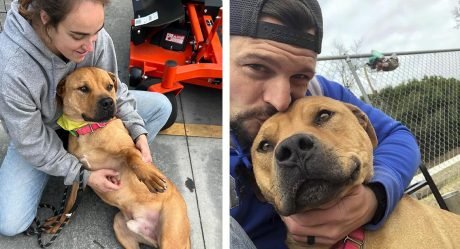 Perro amistoso le sonríe a la gente en un evento de adopción, pero nadie lo nota