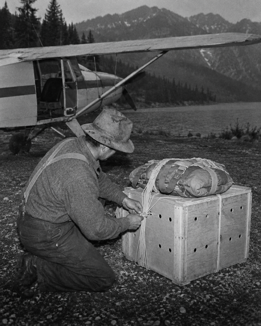 Fotografía granulada en blanco y negro, con estilo de prensa antigua: un empleado de fauna con camisa de trabajo de lana y el rostro medio vuelto, en una pequeña pista de aterrizaje junto a un lago de montaña