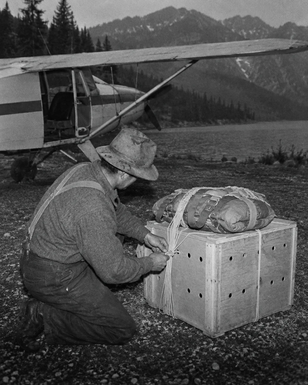 Fotografía granulada en blanco y negro, con estilo de prensa antigua: un empleado de fauna con camisa de trabajo de lana y el rostro medio vuelto, en una pequeña pista de aterrizaje junto a un lago de montaña
