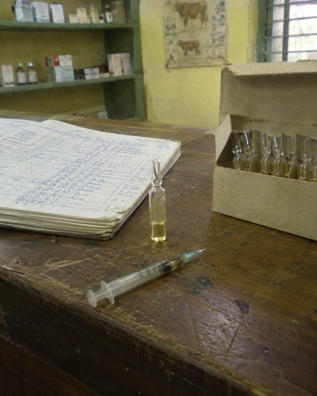 Ampolleta de antiinflamatorio veterinario y jeringa usada sobre el mostrador de un dispensario rural, junto a un cuaderno de tratamientos