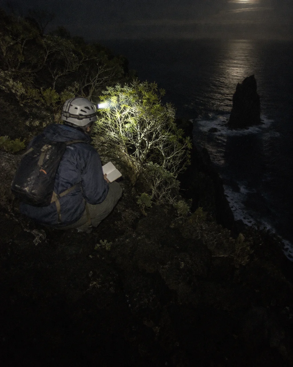 Investigador de campo visto de espaldas en plena noche, con casco, chaqueta cortavientos gastada, mochila pequeña y la luz de una linterna frontal