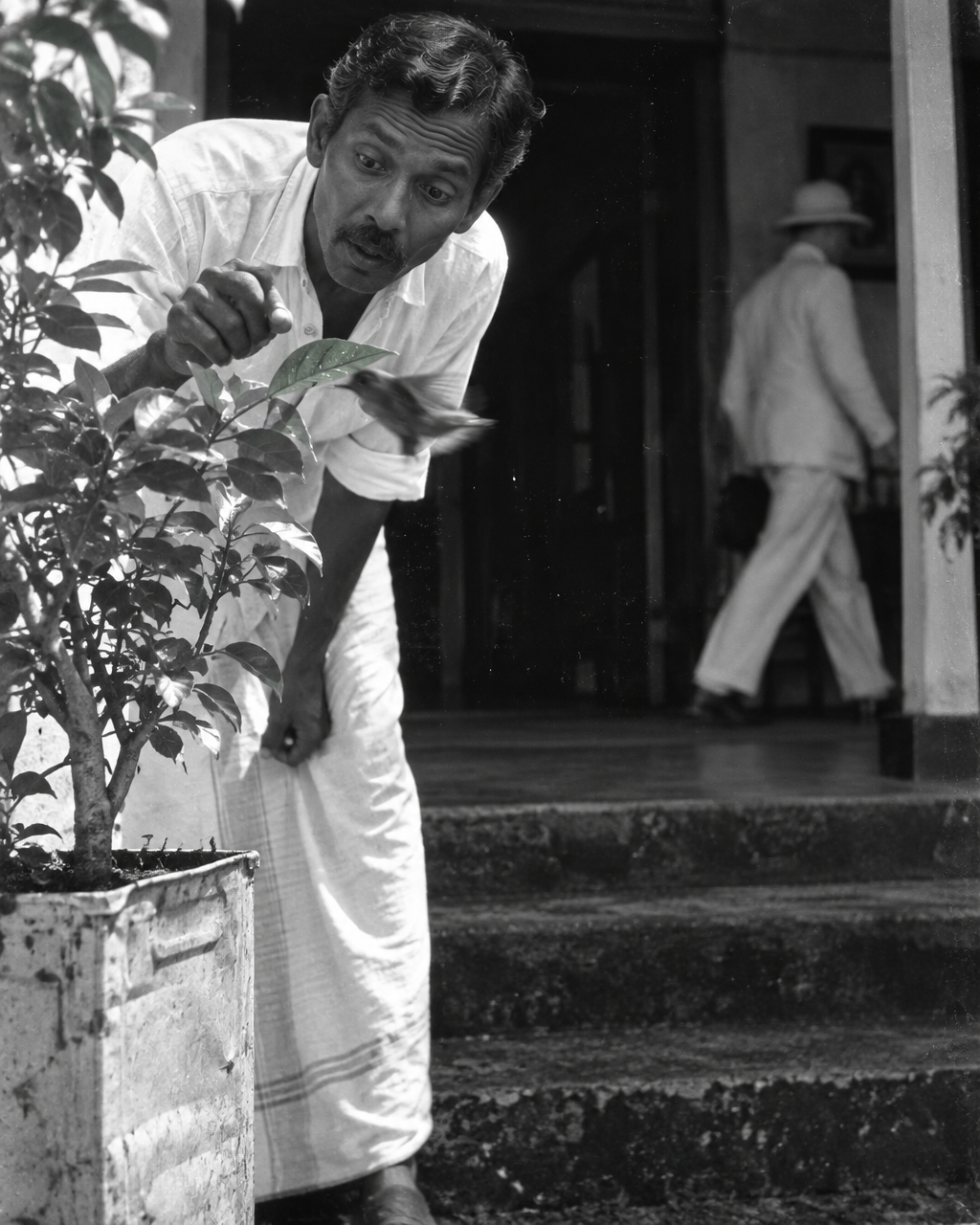 Hombre de mediana edad con camisa blanca y sarong, inclinado hacia un arbolito en maceta a la entrada de una casa sencilla de época colonial, en blanco y negro