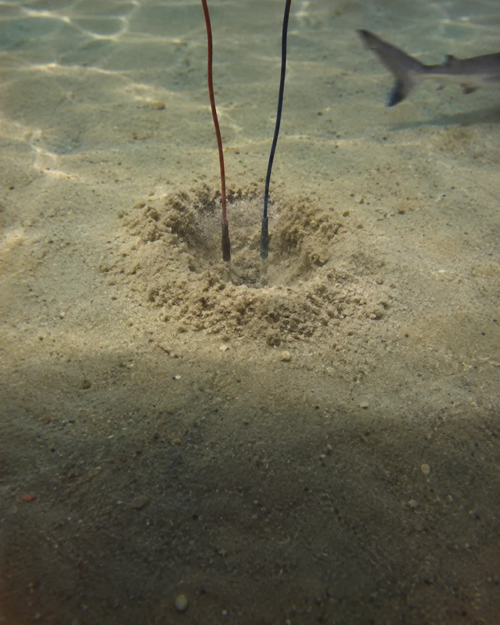Cables eléctricos finos que atraviesan el agua de un tanque y se hunden en la arena, junto a un hueco recién excavado