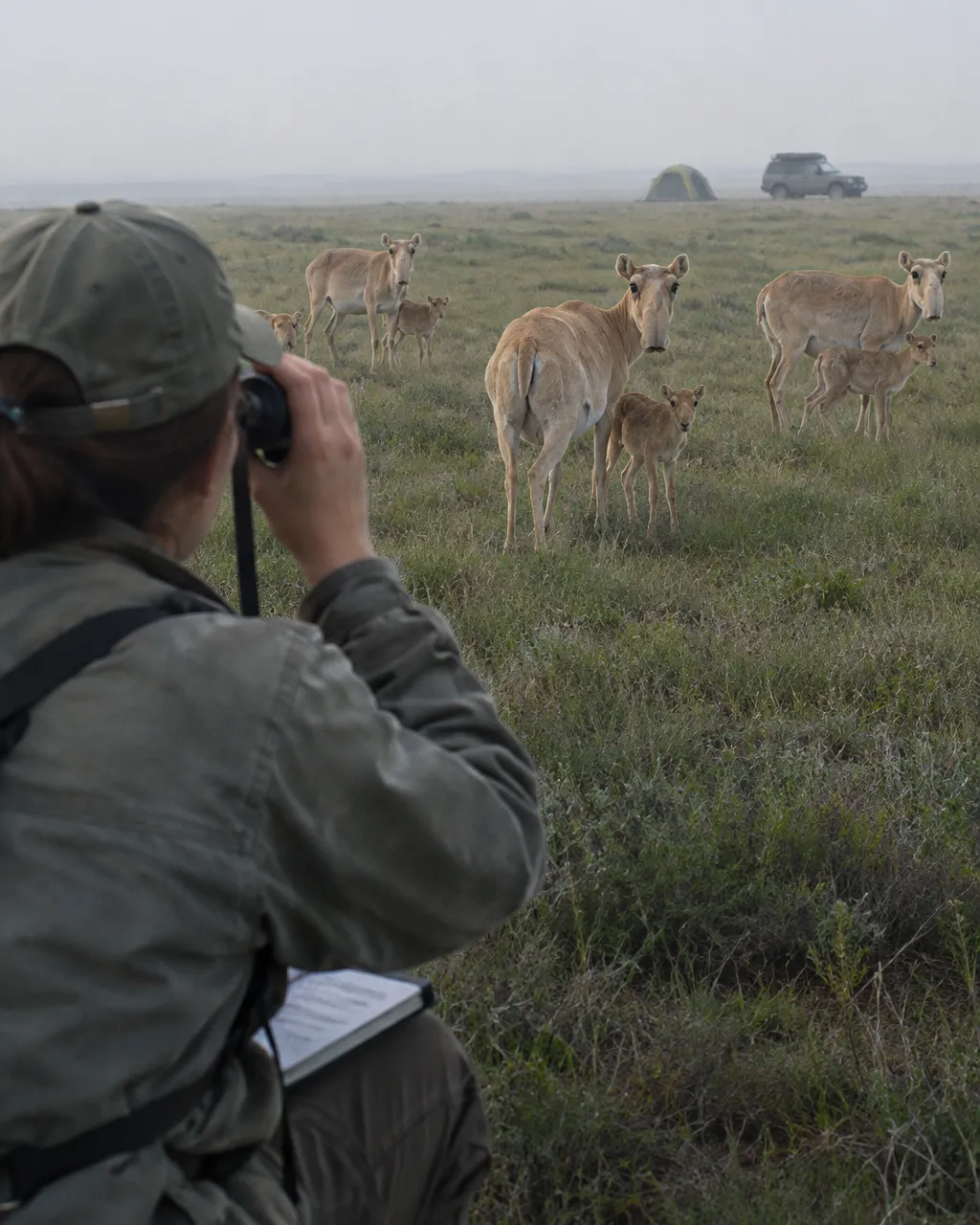Persona con chaqueta de campo y gorra, vista por encima del hombro, arrodillada en la hierba corta de la estepa
