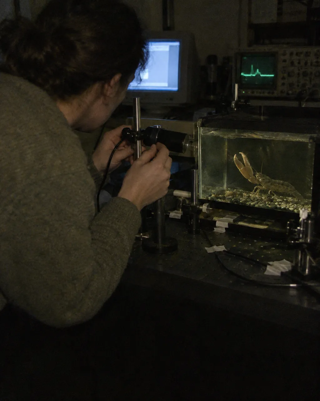 Laboratorio de física a oscuras, iluminado solo por un monitor de tubo y un osciloscopio con una línea verde tenue, con una persona investigadora en la penumbra