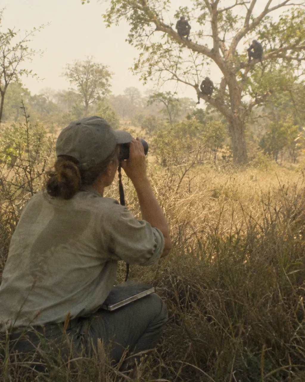 Investigadora de campo con gorra y camisa caqui, agachada entre la hierba seca de la sabana, observando con binoculares