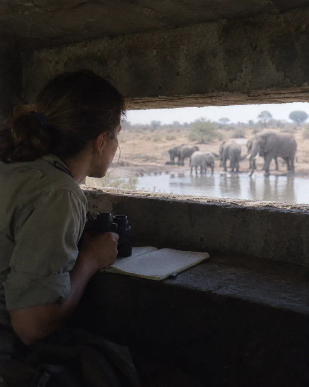 Investigadora con camisa caqui, binoculares y una libreta abierta, asomada a la rendija horizontal de un búnker de concreto junto a un bebedero africano