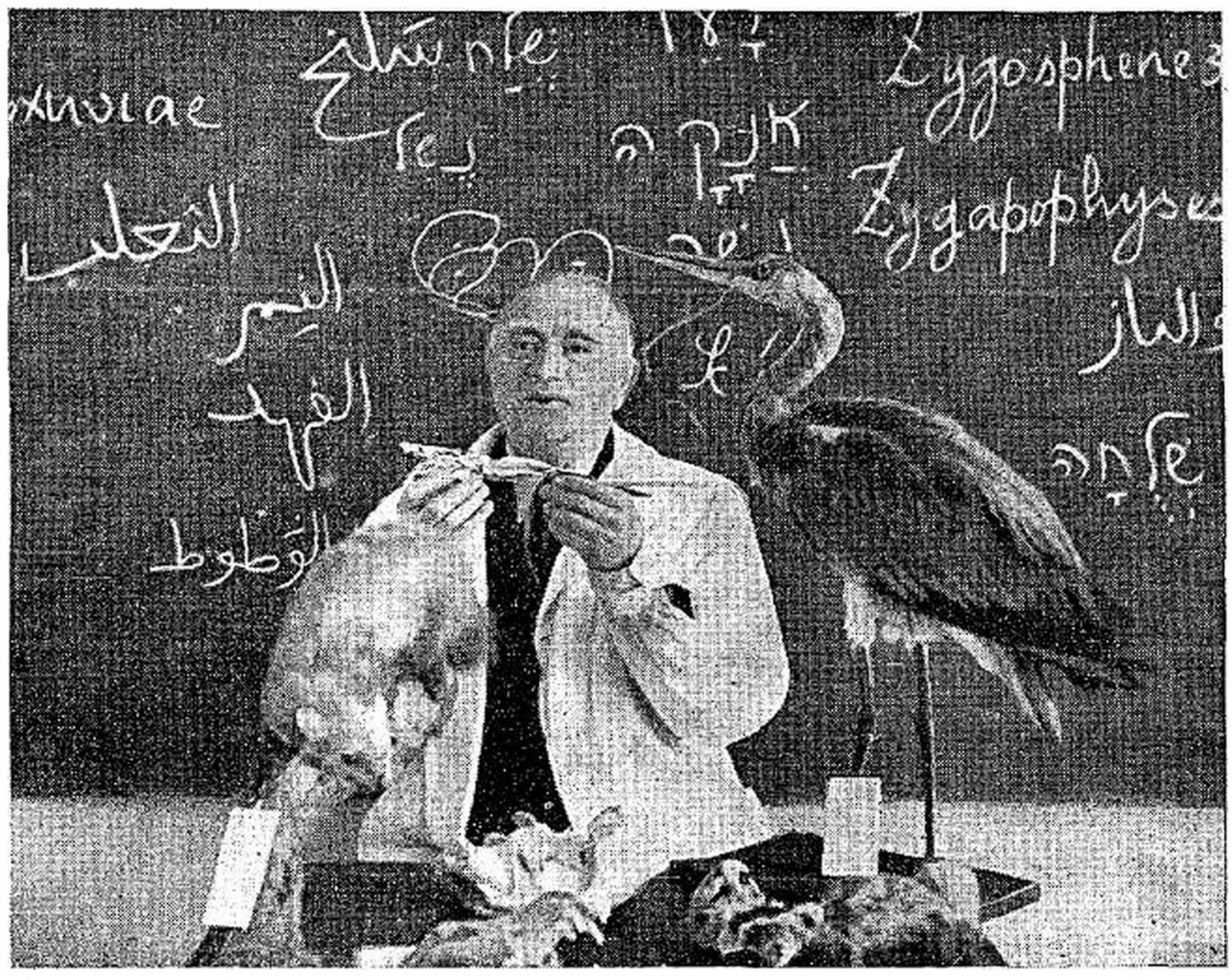 Fotografía en blanco y negro de Israel Aharoni durante una clase en la Universidad Hebrea de Jerusalén