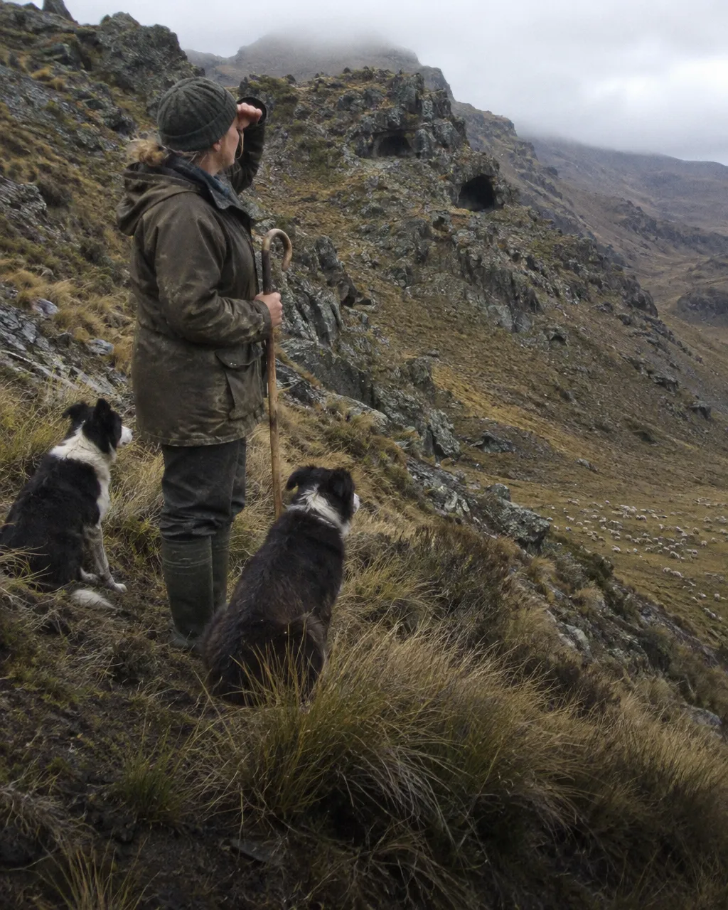 Pastora con chaqueta encerada, gorro de lana y cayado observa las cuevas de una ladera rocosa junto a dos perros pastores