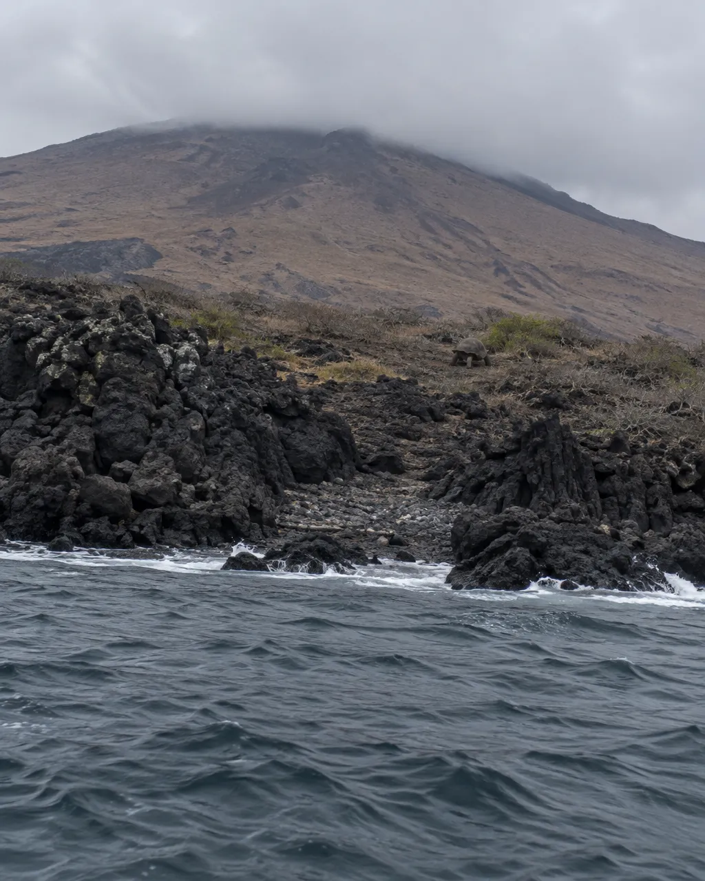 Costa rocosa de basalto negro al pie de un volcán de laderas secas y pardas, con olas pequeñas rompiendo contra la lava bajo nubes bajas