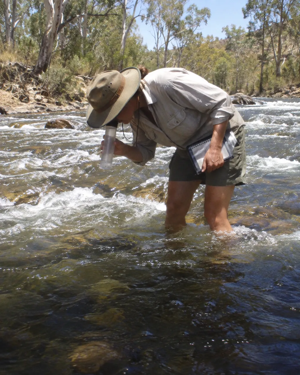 Una persona con sombrero de ala ancha y camisa de manga larga, metida hasta las rodillas en un rápido poco profundo, se inclina para mirar el agua clara.