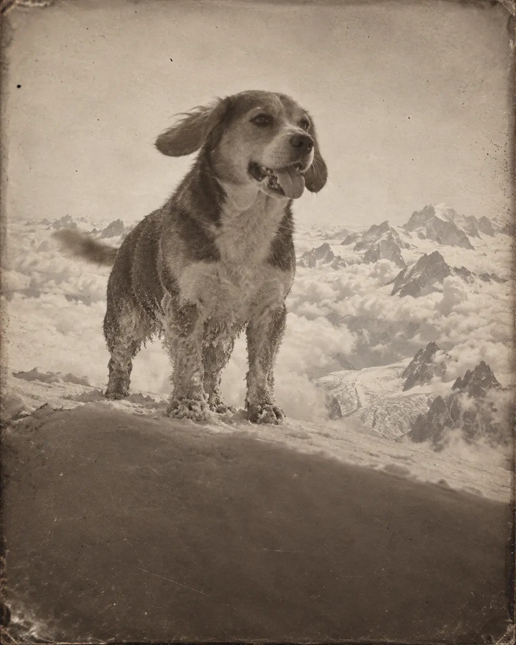 Escena en tono sepia, con aspecto de fotografía antigua, de una arista nevada cerca de la cumbre del Mont Blanc