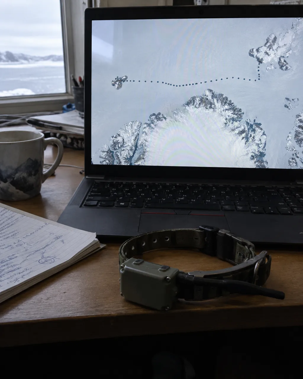 Pantalla de una computadora portátil con un mapa de rastreo satelital en el que una cadena de puntos cruza un mar blanco hacia el oeste, junto a una taza, notas a mano y un collar de rastreo